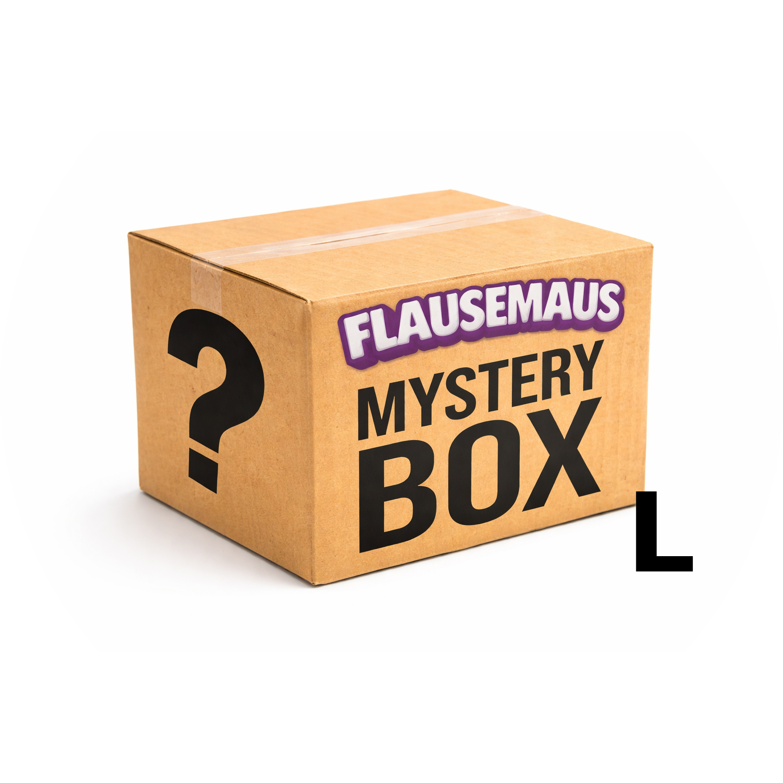 MYSTERY BOX L